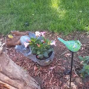 Meet your Posher, Tonja